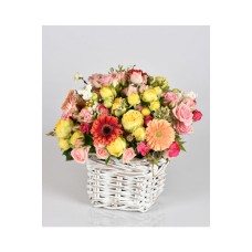 Vivid Basket